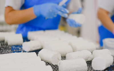 Richiamo di formaggi di capra per Escherichia coli STEC: perché i controlli microbiologici sono fondamentali per la sicurezza alimentare